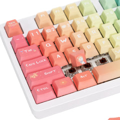 animal-series-hot-swap-rgb-mechanical-keyboard